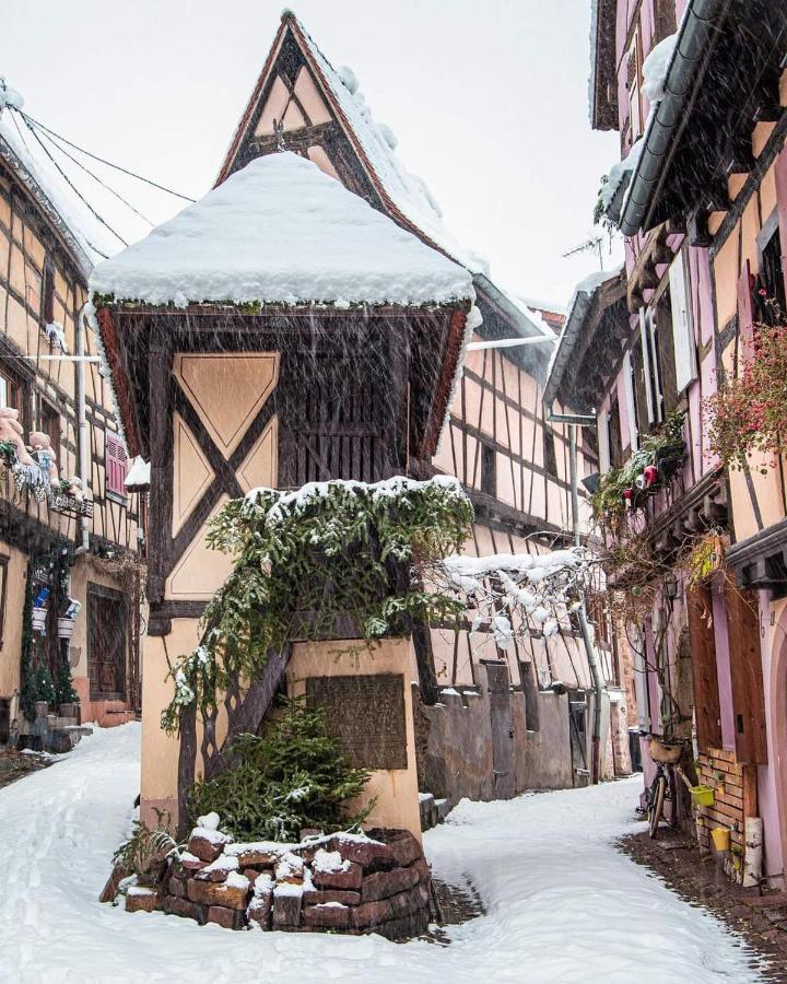Fleur De Vigne Appartement Eguisheim Buitenkant foto