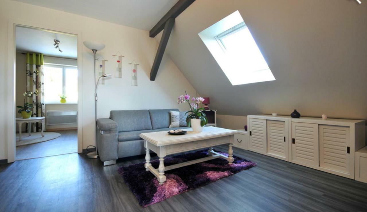 Fleur De Vigne Appartement Eguisheim Buitenkant foto
