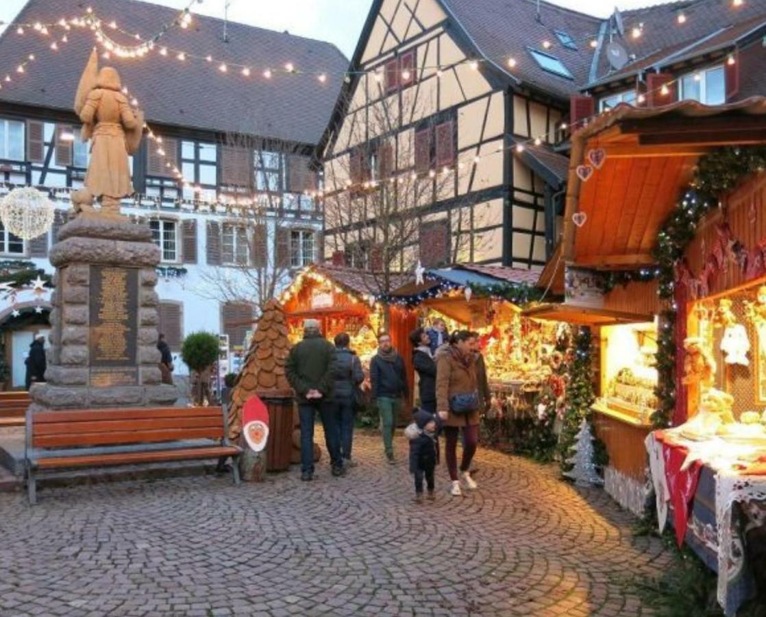 Fleur De Vigne Appartement Eguisheim Buitenkant foto