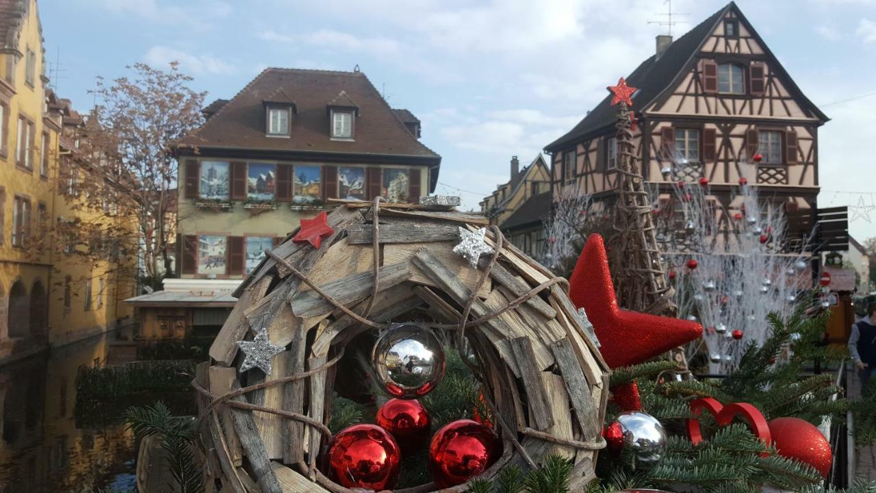 Fleur De Vigne Appartement Eguisheim Buitenkant foto