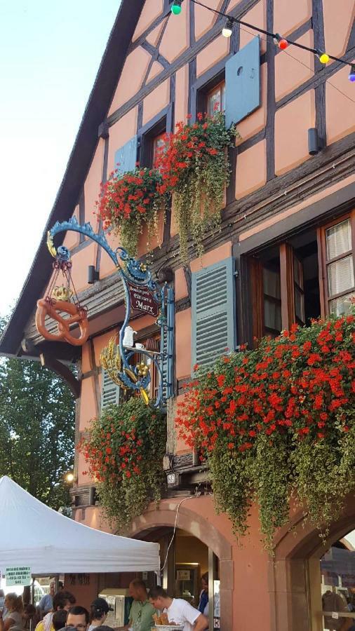 Fleur De Vigne Appartement Eguisheim Buitenkant foto