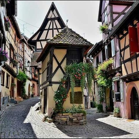 Fleur De Vigne Appartement Eguisheim Buitenkant foto