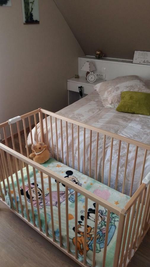Fleur De Vigne Appartement Eguisheim Buitenkant foto