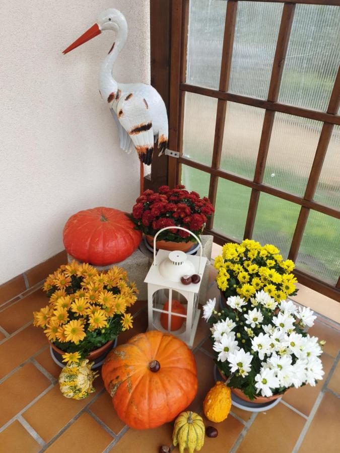 Fleur De Vigne Appartement Eguisheim Buitenkant foto